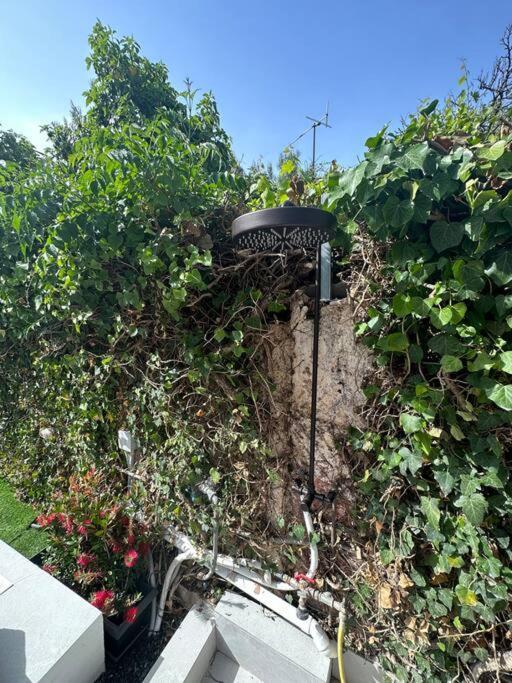 Caja De Anthea Villa Ártemida Kültér fotó