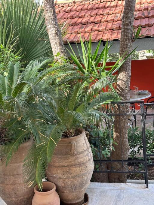 Caja De Anthea Villa Ártemida Kültér fotó