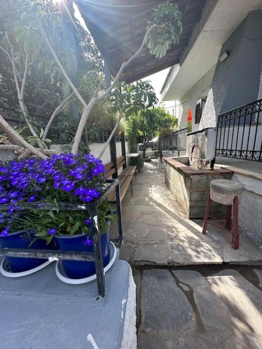Caja De Anthea Villa Ártemida Kültér fotó